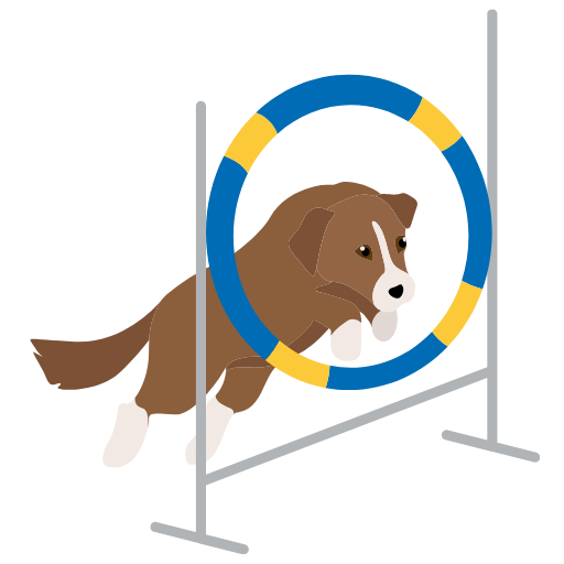 Interactive Games - brain training for dogs