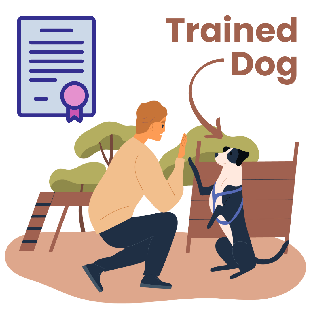 What is Brain Training for Dogs 1